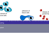 Microvascular Integration of Biomaterials
