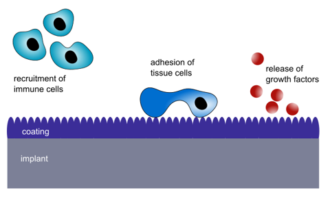 Microvascular Integration of Biomaterials