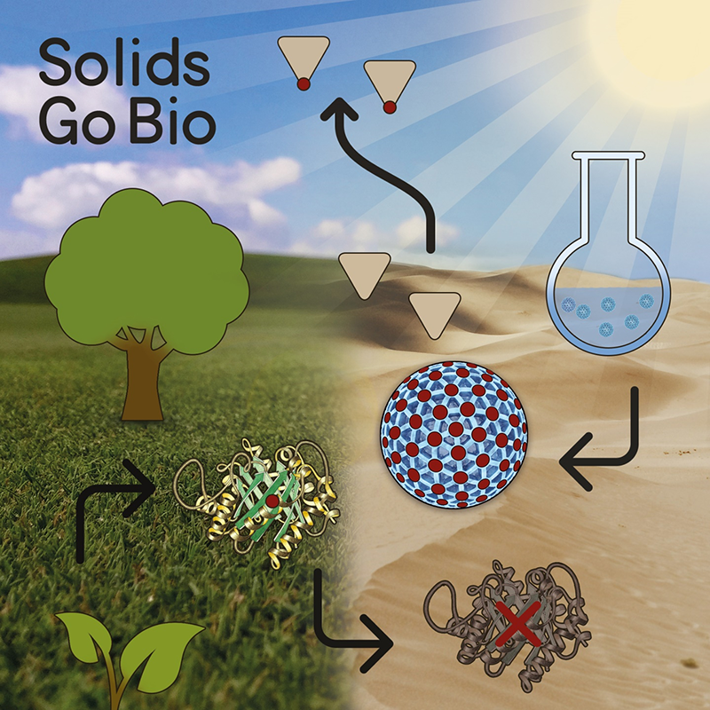Enzymes belong to the most efficient catalysts known to man, but their high production costs and low stability cause severe problems. Inorganic nanoparticles on the other hand are readily available by cost-efficient synthesis and are more stable compared to their natural counterpart. In recent years, an enormous amount of inorganic nanomaterials with intrinsic enzymatic activities has been reported, which is summarized in this microreview with cover page and cover profile. Enzymes belong to the most efficient catalysts known to man, but their high production costs and low stability cause severe problems. Inorganic nanoparticles on the other hand are readily available by cost-efficient synthesis and are more stable compared to their natural counterpart. In recent years, an enormous amount of inorganic nanomaterials with intrinsic enzymatic activities has been reported, which is summarized in this microreview with cover page and cover profile.