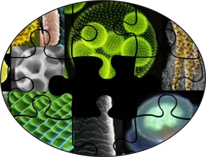 Aerosols &amp; Air Quality