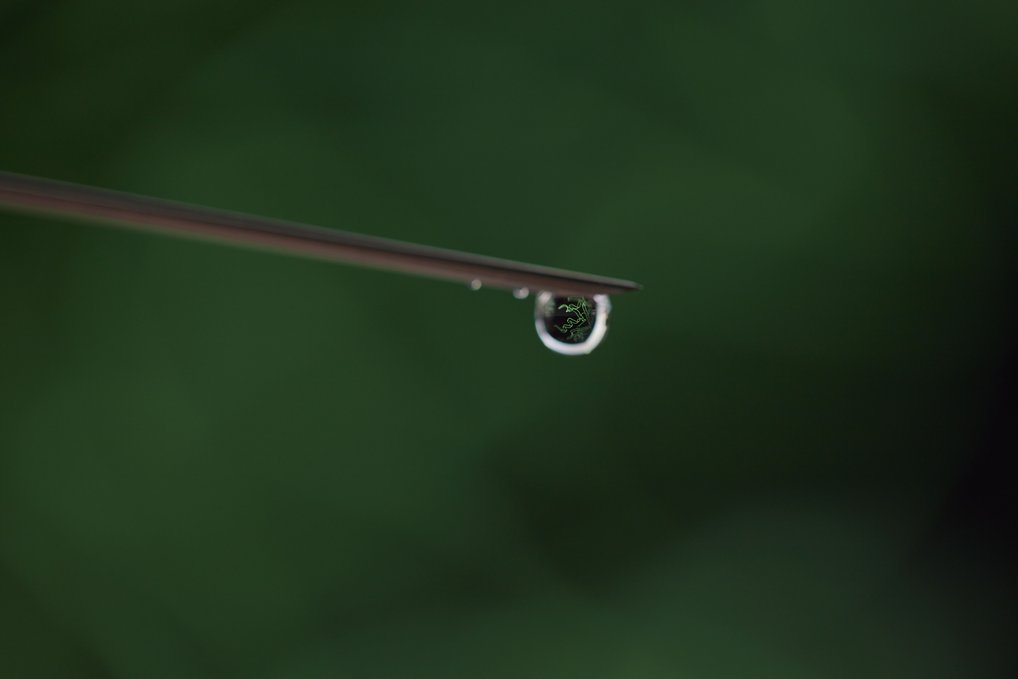 Cellular Function Driven by Polymer Concepts