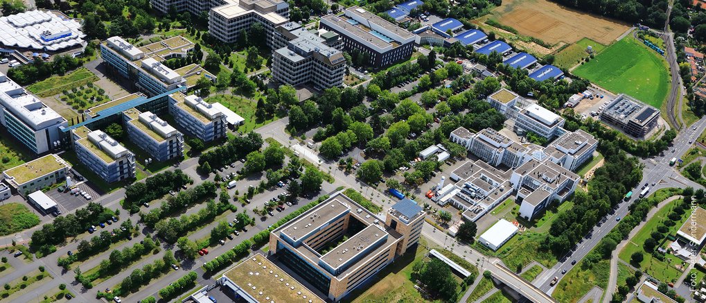 PhD and research in an interdisciplinary environment