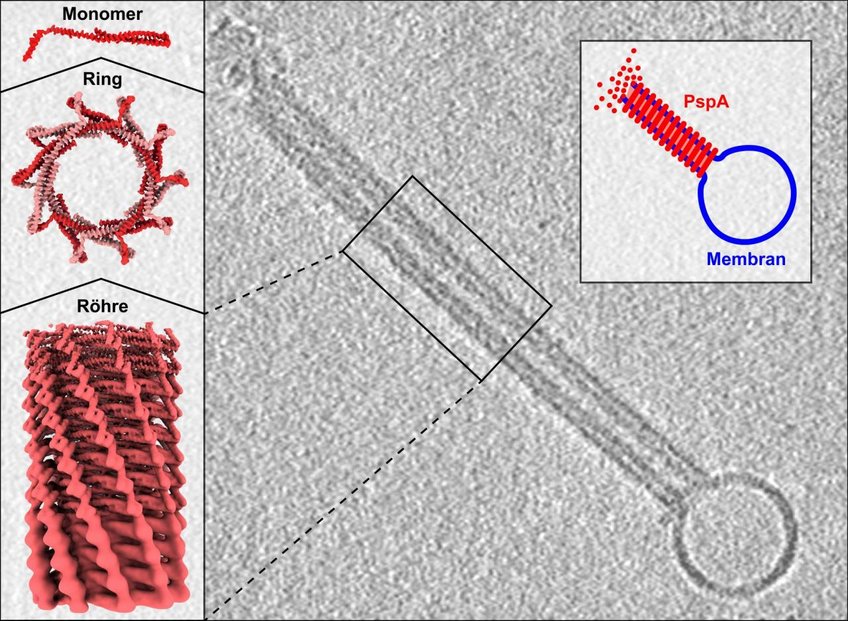 © Benedikt Junglas, Dirk Schneider, Carsten Sachse