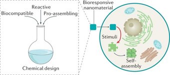 © Springer Nature Limited