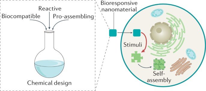 © Springer Nature Limited