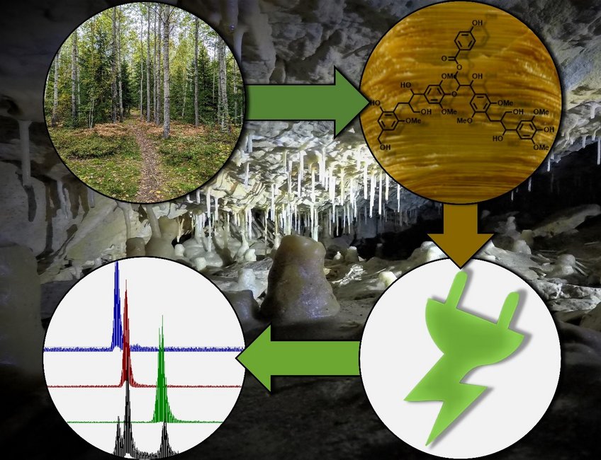 © John Wiley & Sons, Inc