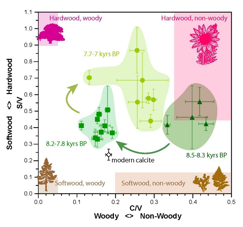 © Springer Nature Limited