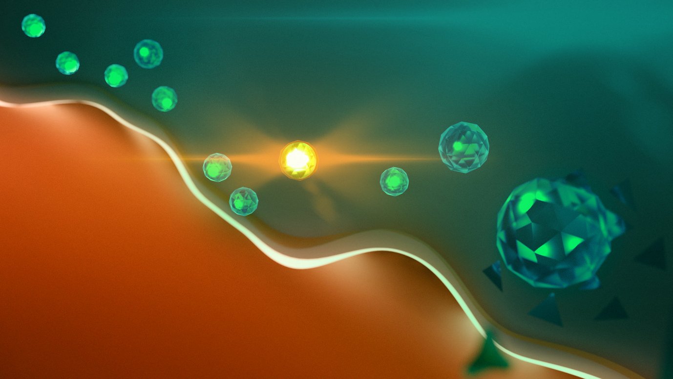 Katharina Maisenbacher