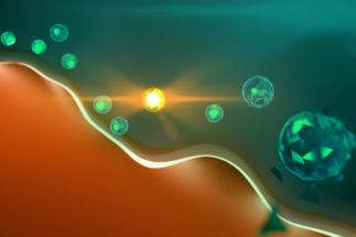 Material Science at Interfaces