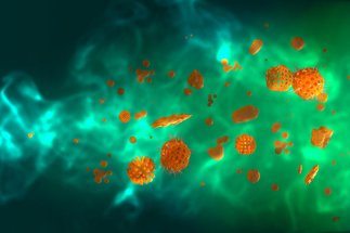 Aerosols & Air Quality