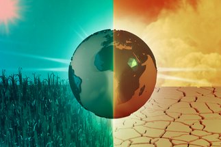 Global Environmental Change from the Geological Past to the Anthropocene