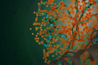 Molecular and Materials AI