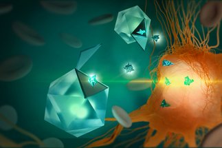 Nanomedicine and Immune Cell Engineering